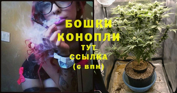 бошки Алексеевка